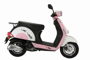 ����ZN48QT-11D�������
