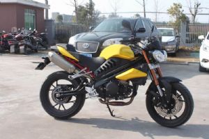 ������� BD250GS�������
