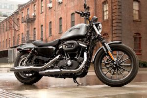 ����2015 IRON 883™�������