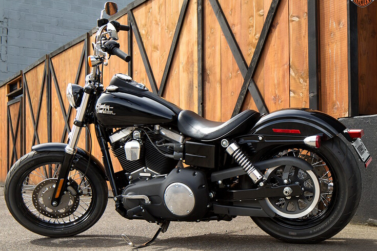 ���״�άɭ Harley-Davidson ���ɽְ�®(2015)