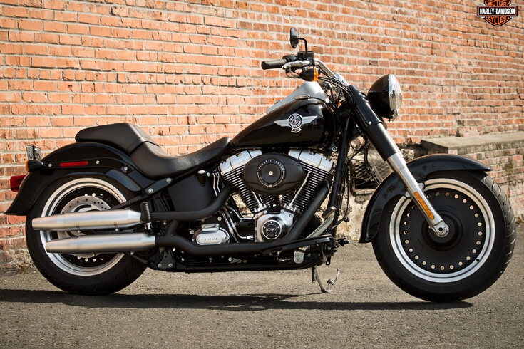 ���״�άɭ Harley-Davidson ����®���ư�(2019)