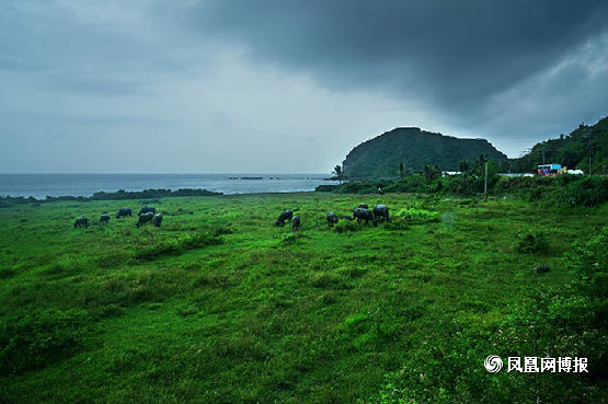 DSC06789.jpg