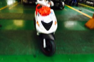���������BYQ100T-E����� �ֲ�ϸ��