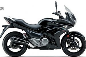  ������ľGW250F