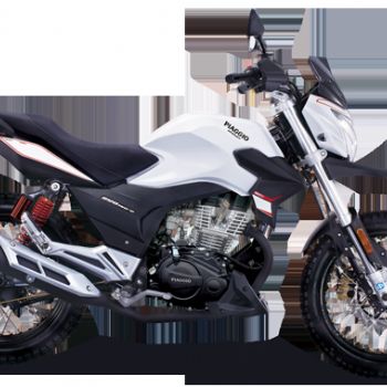 �ޱ�ѷRobinsonBYQ150-8 ԽҰ�棨ţĦ�����׵�����