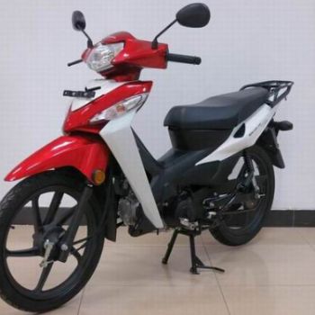  ����100 ������100����������ר����13693900��
