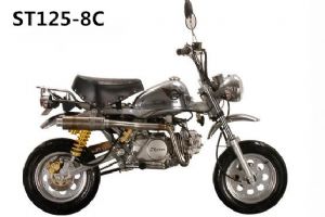 ����ST125 -8C���� ����Ħ��