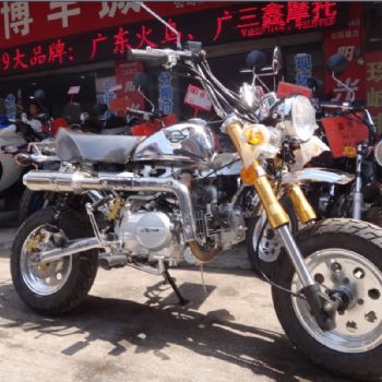 ���θ���Ħ�г� �������ST125-8B