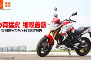 ����YG250-NT�����ͻ� ϸ��Ǿޱ ������YG250-NT���Ա���