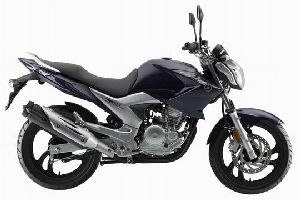  ����������250