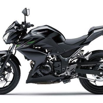 kawasaki����  Z250