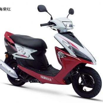 ������RSLYM100T-5��ţĦ�����׵�������