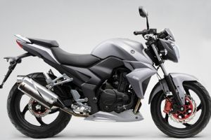  ��������T2 ȼ����Ѫ�س���