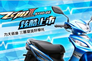����SY110-22��Ʒ�ֲ�