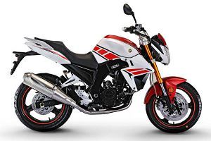  ������250