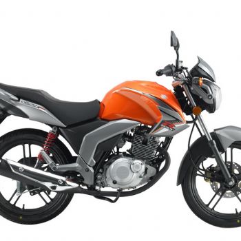  ��ľ������ GSX����ȫ��125