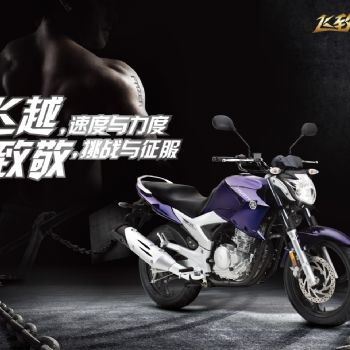  ������YS250