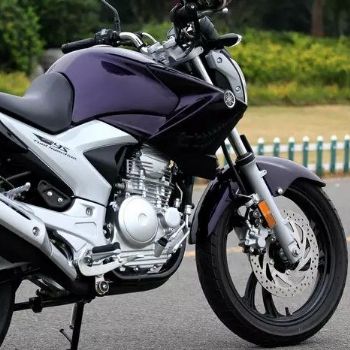  ����������250