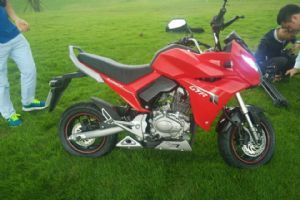 �뼣 �������GTR ��ţĦ�����׵�����