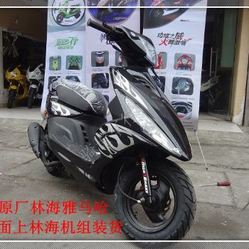  �����Ź��ֺ�v�� vӰ ���� 100cc������