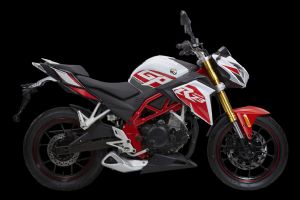 ������ZS250GS-2A�ֲ�ϸ��