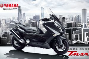 ����-������TMAX����ͼƬ