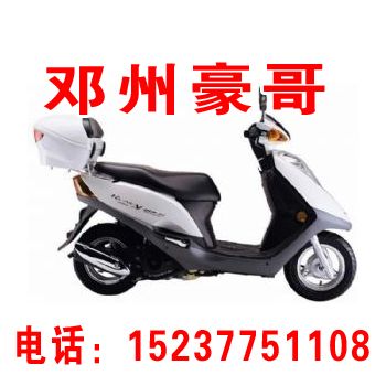  ��ľ�ϲ�100T-B