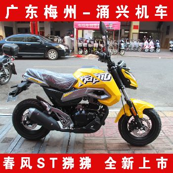 ����ST����