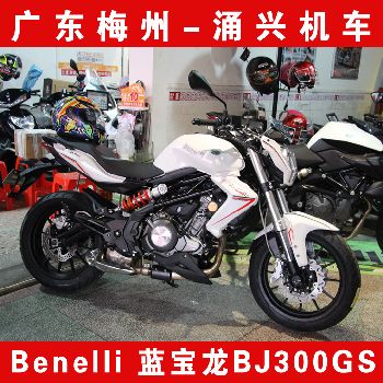 ������BN302 ������300