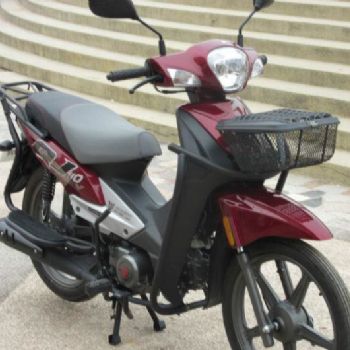  Ǯ�����QJ110-10C