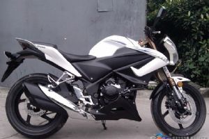 ��� ����250