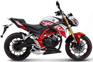 ������ RZ3 ZS250GS-2A