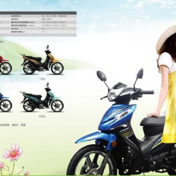 ����V��ZS110-61S������