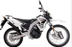 ����ZS150GY-10��ԽԽҰ������150ԽҰĦ�г���