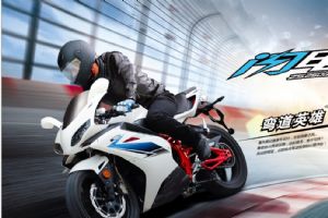 ��������250�ܳ�ZS250GS-3A