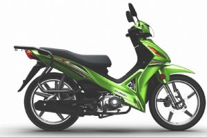 ����ZS110-9D