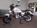 ���� Сmini YG150-22
