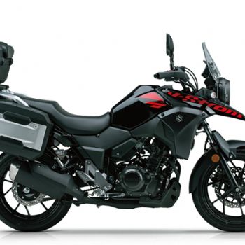 ������ľDL250