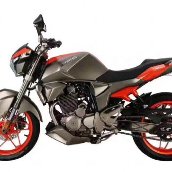 ���� ���� ZT250--S   ������
