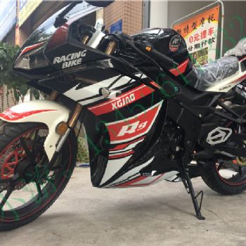 �¸о�R9�¸о�XGJ250-28ƽ��������250����������