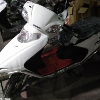 �ɿ�100�����