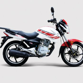 ���� ������ YG150-NF