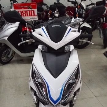  �´��ޱ���SDH125T-31��ţĦ���������ף���