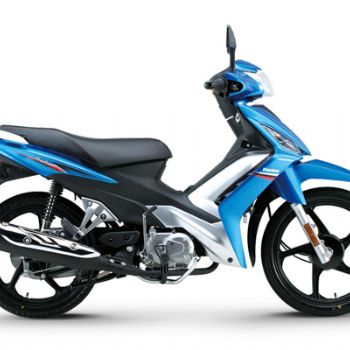 ������ľ �ŵ� HJ110-5