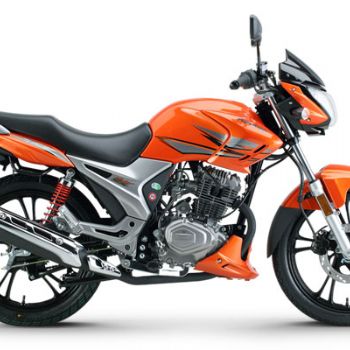 ������ľ ��ˬ HJ150-9