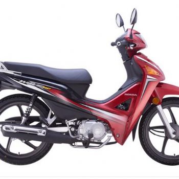 �´��ޱ��� ������SDH110-19�������桭