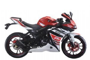 �¸о� XGJ250-28