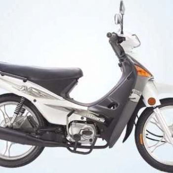 Ǯ�� ���� QJ110-18C a1-1