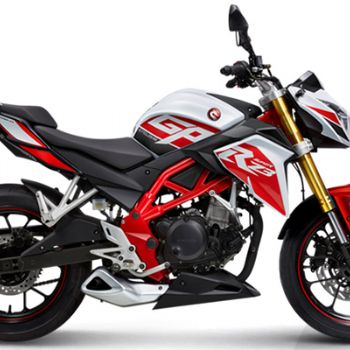 ������ RZ3 ZS250GS-2A