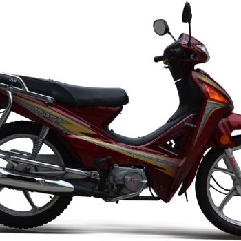 ���� ���� YG110-A